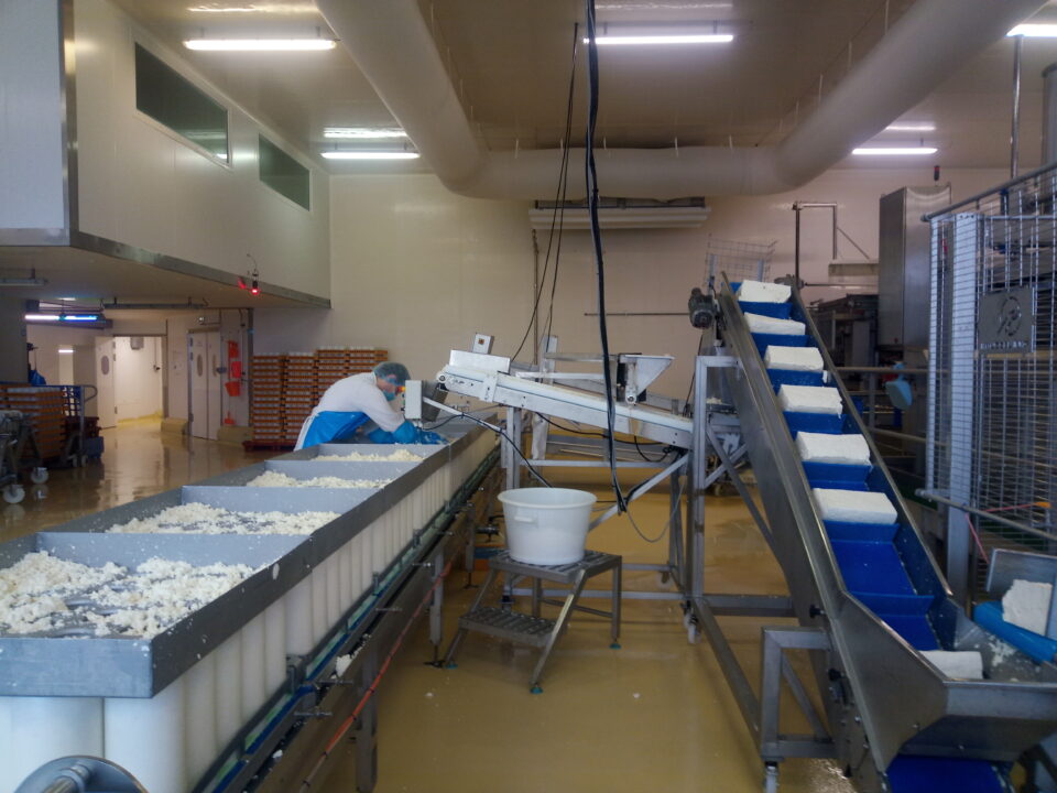 Mise en moule du caillé. Crédit photo : Association de la race Ferrandaise