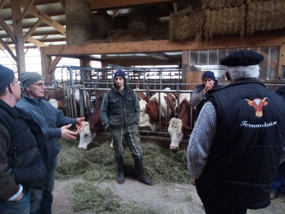 Visite de l'exploitation du GAEC des Epilobes. Crédit photo : Association de la race Ferrandaise