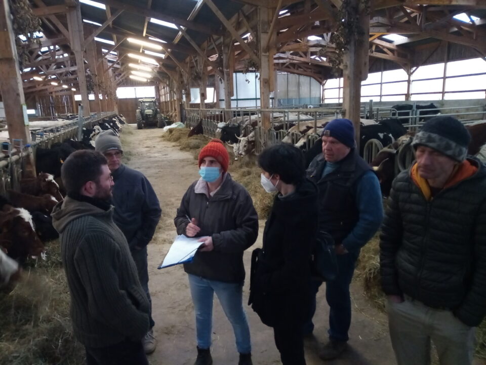 Visite de l'exploitation du GAEC des Gentianes. Crédit photo : Association de la race Ferrandaise