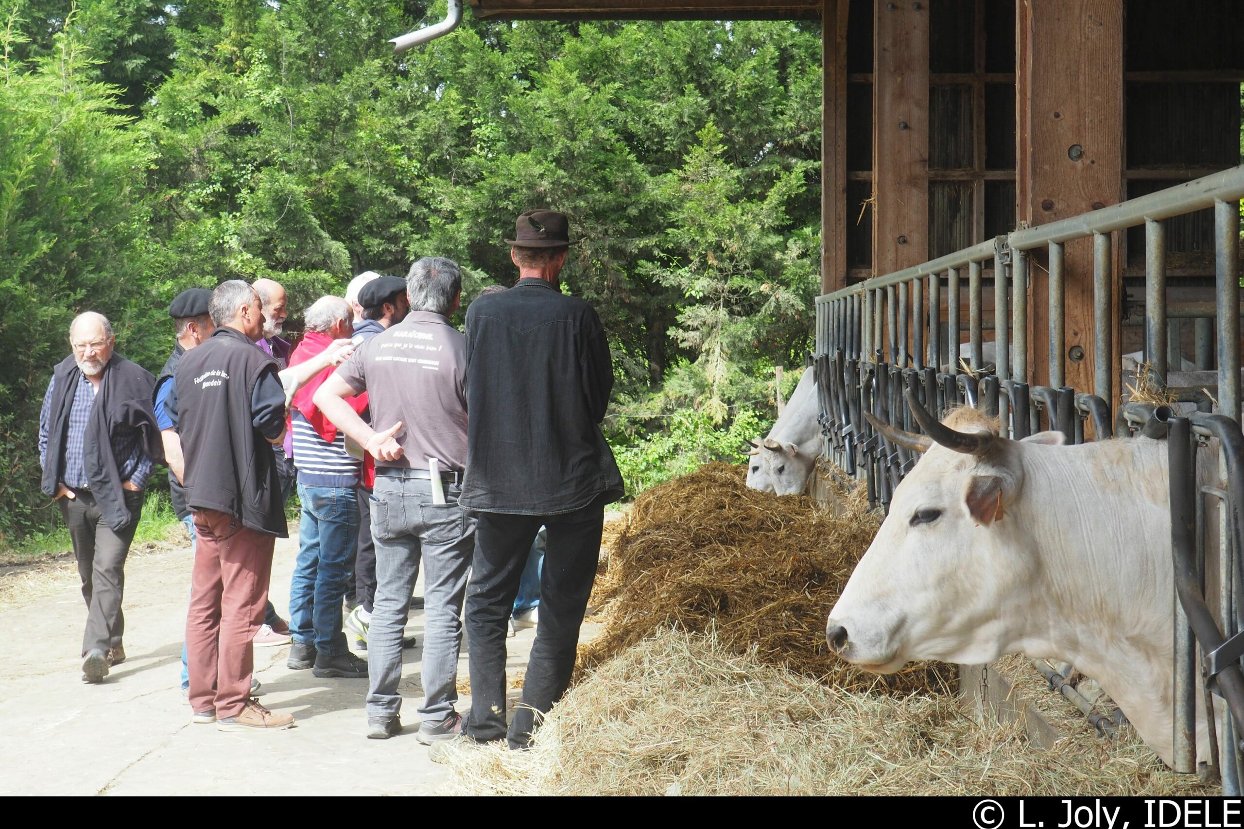 Les rencontres des races à petits effectifs (OS RBLPE)