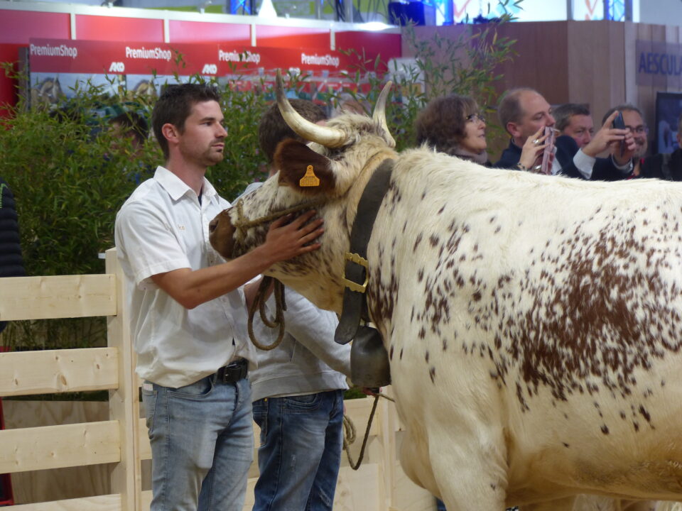 Sommet de l'Elevage 2022