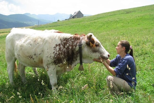 La ferrandaise au Salon International de l’agriculture