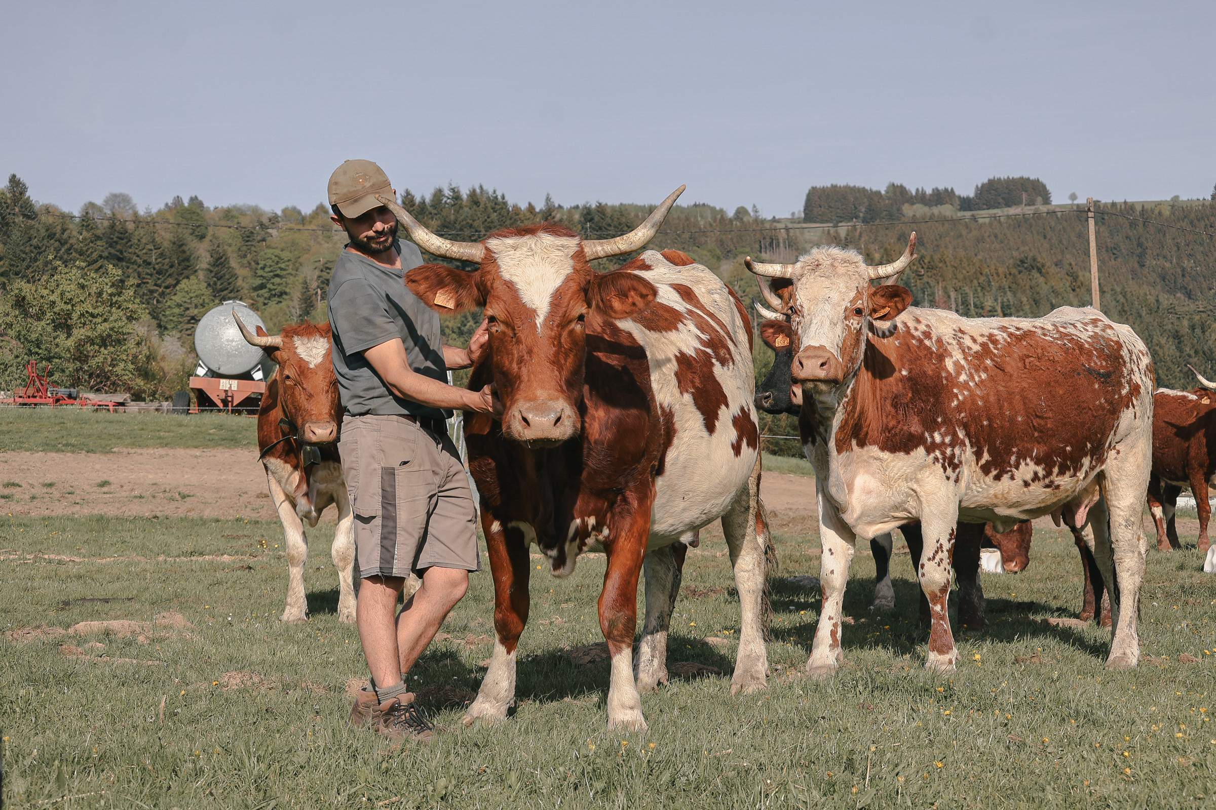 🐝 Élevage et Biodiversité : zoom sur le diagnostic BIOTEX ! 🐄