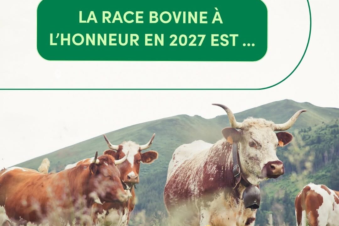 La Ferrandaise égérie du SIA 2027