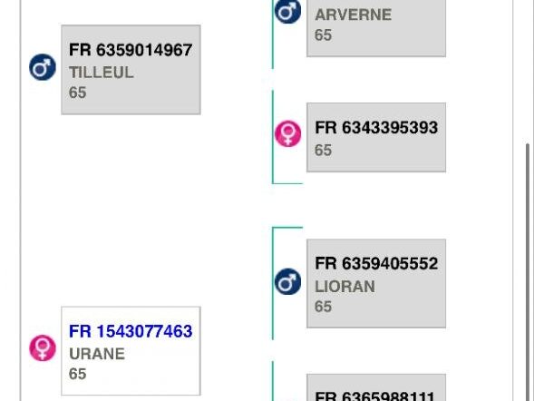 Annonce n°18747